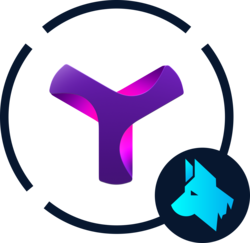 STXYM